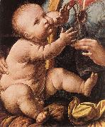 LEONARDO da Vinci The Madonna of the Carnation  g Sweden oil painting artist